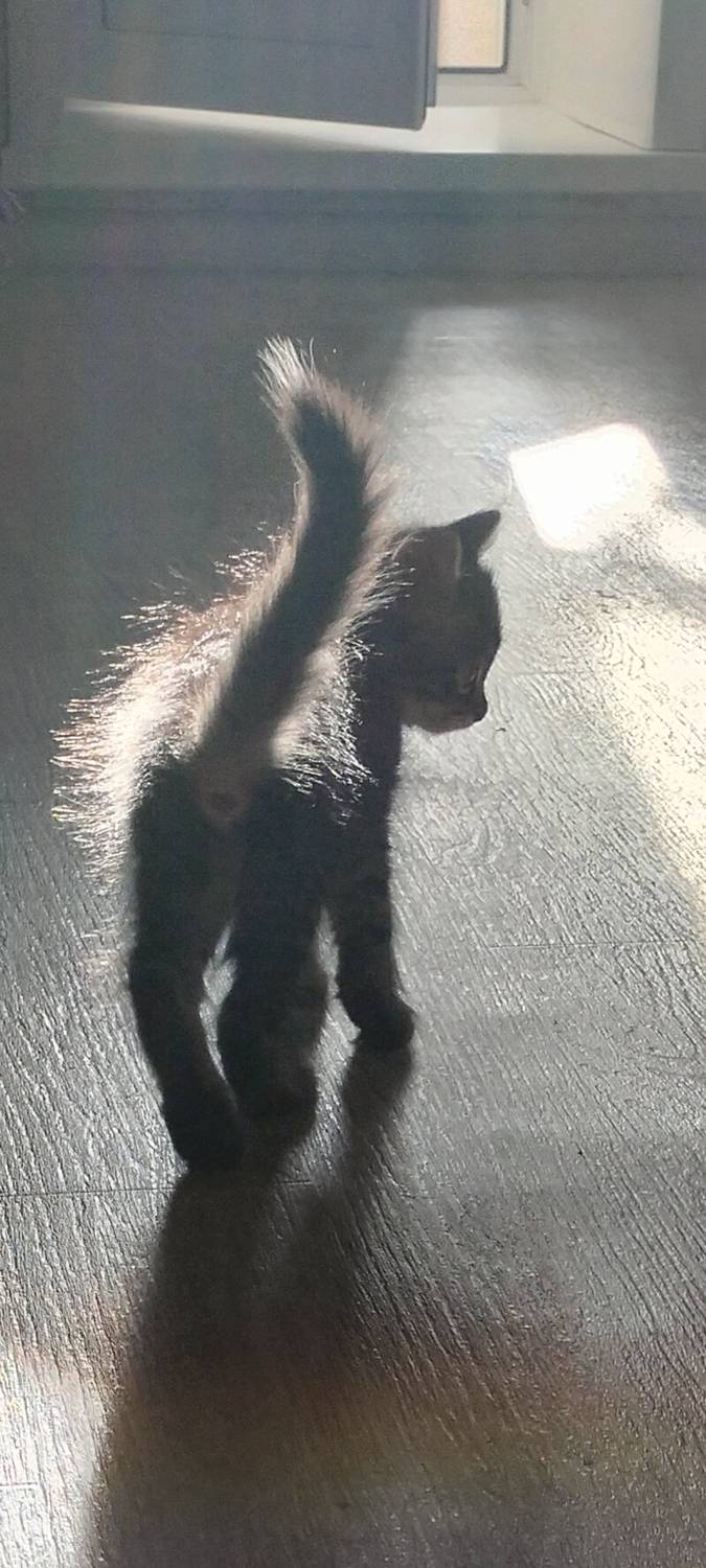 Photo #11239842