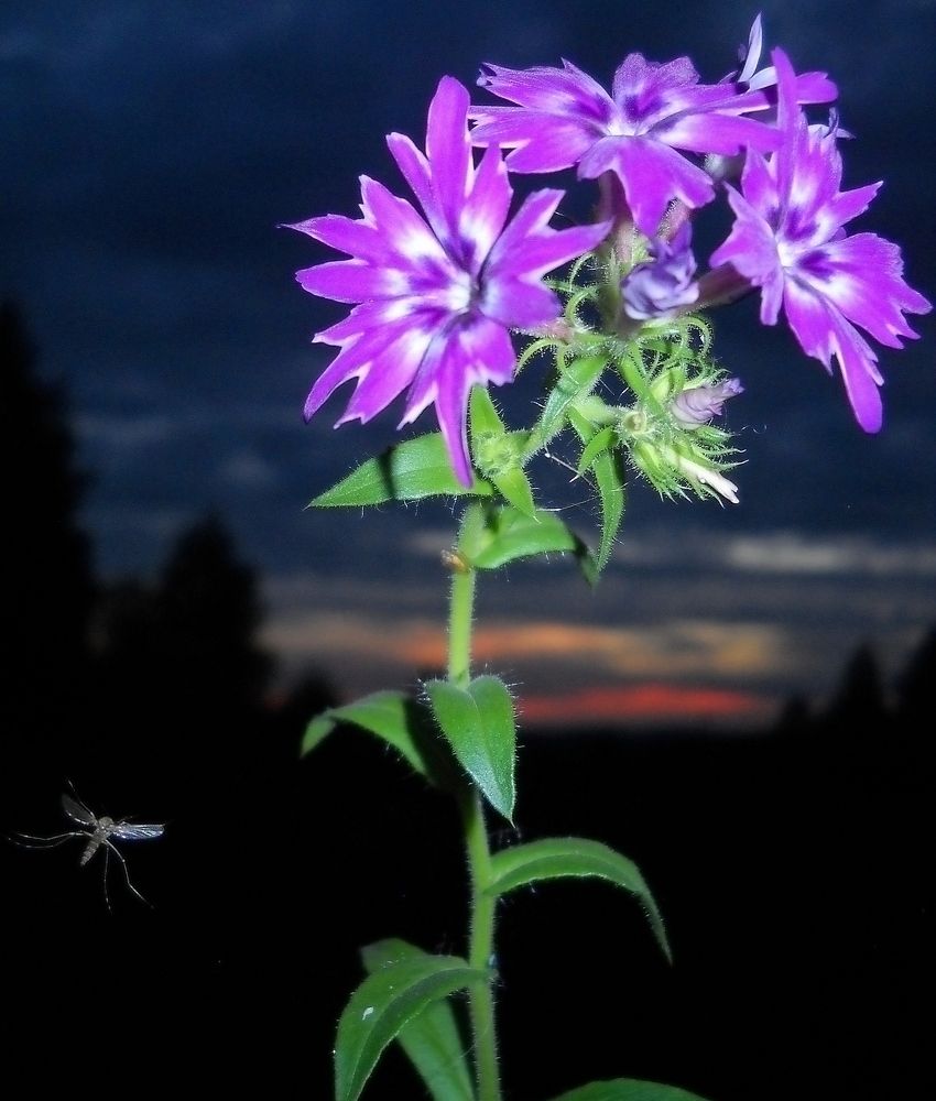 Photograph by Виктор Решетников