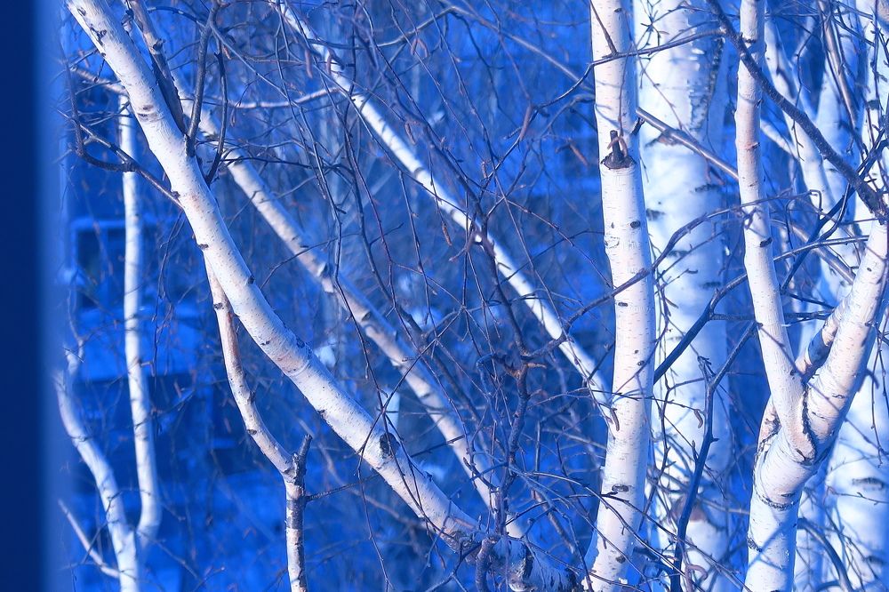 Photograph by Орл Про