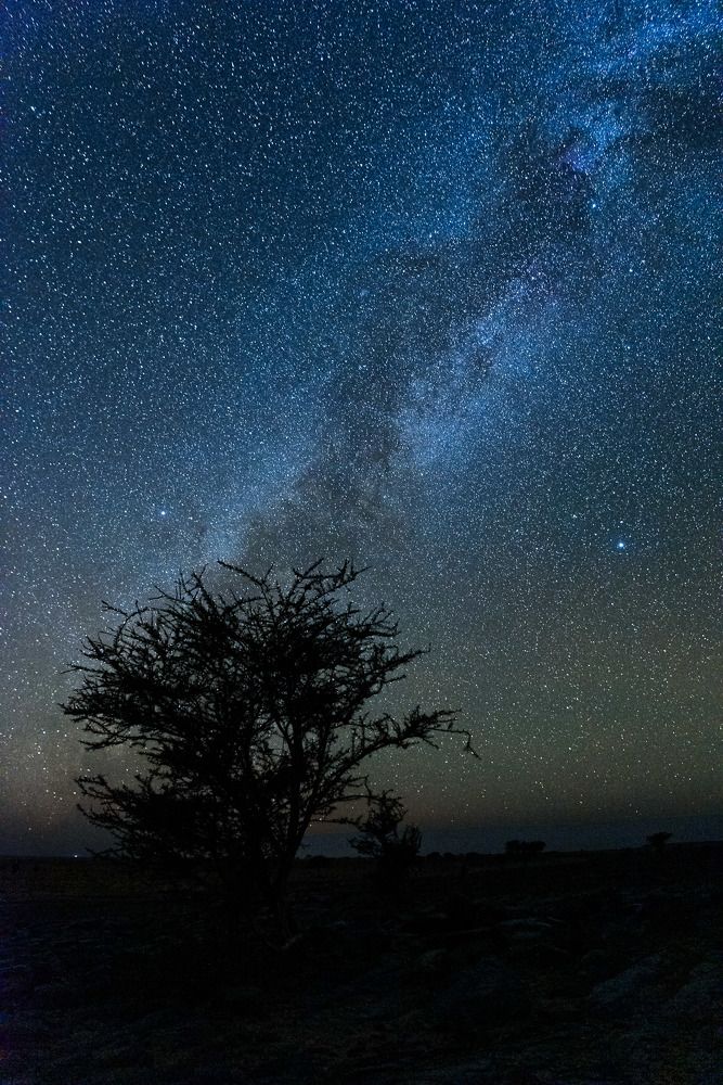 Photograph by Леонид Синев