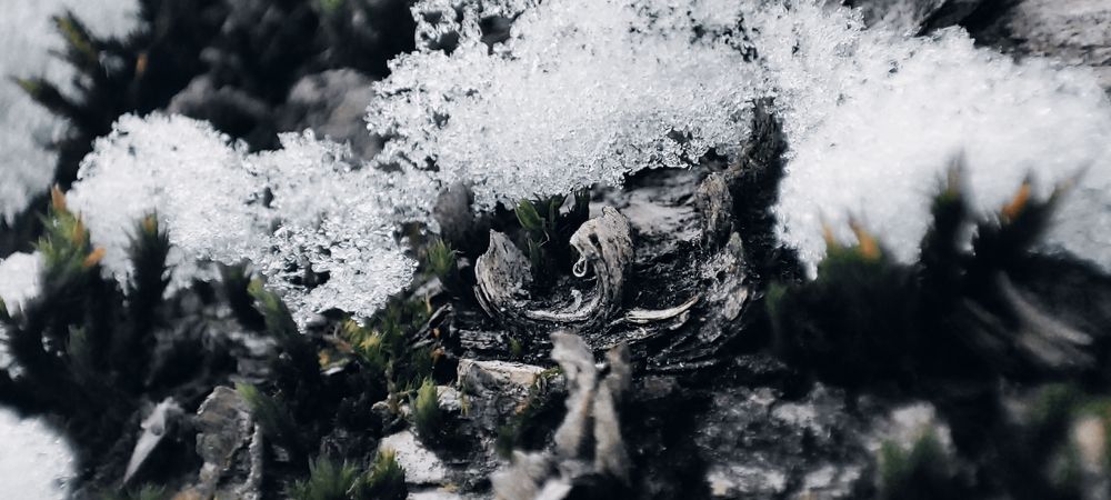 Photograph by Алексей Климов
