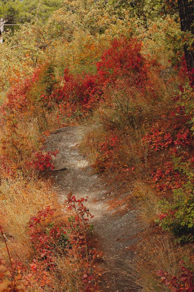 Photograph by Христина Сергейчик