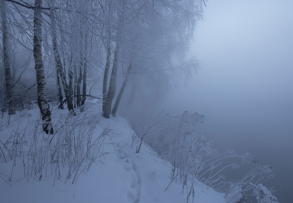 Photograph by Александр Гвоздь