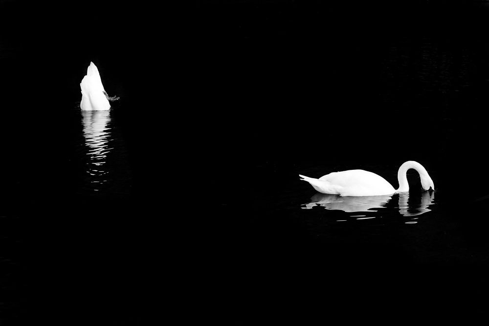 Photograph by Ekaterina Denisenko