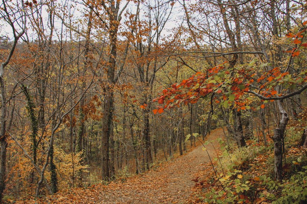 Photograph by Христина Сергейчик