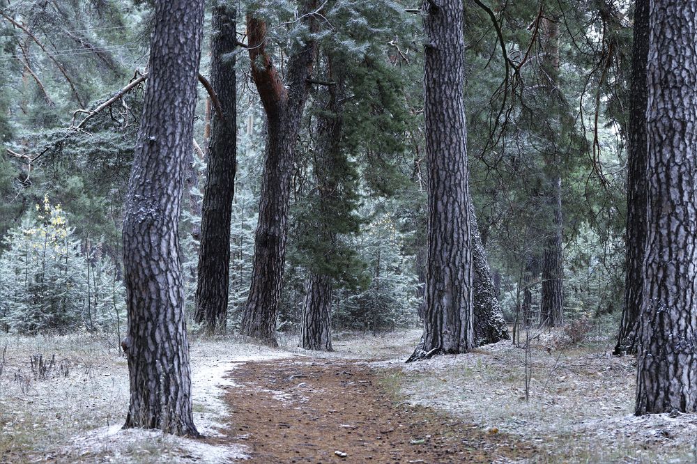 Photograph by александр лялин