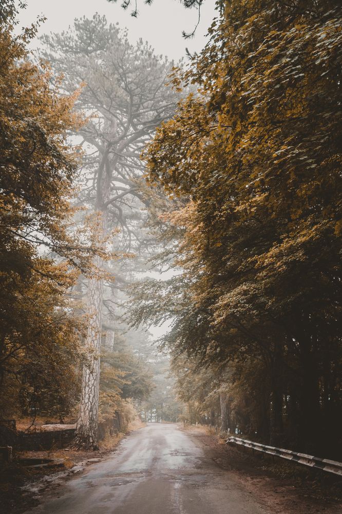 Photograph by Даниил Петруненко