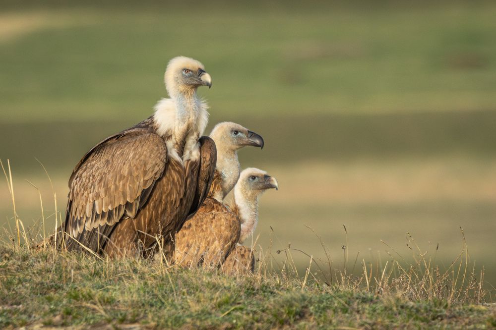 Photograph by Антон Лабачоў