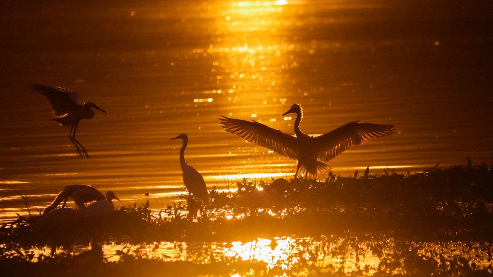 Фотография автора Kushal Lad