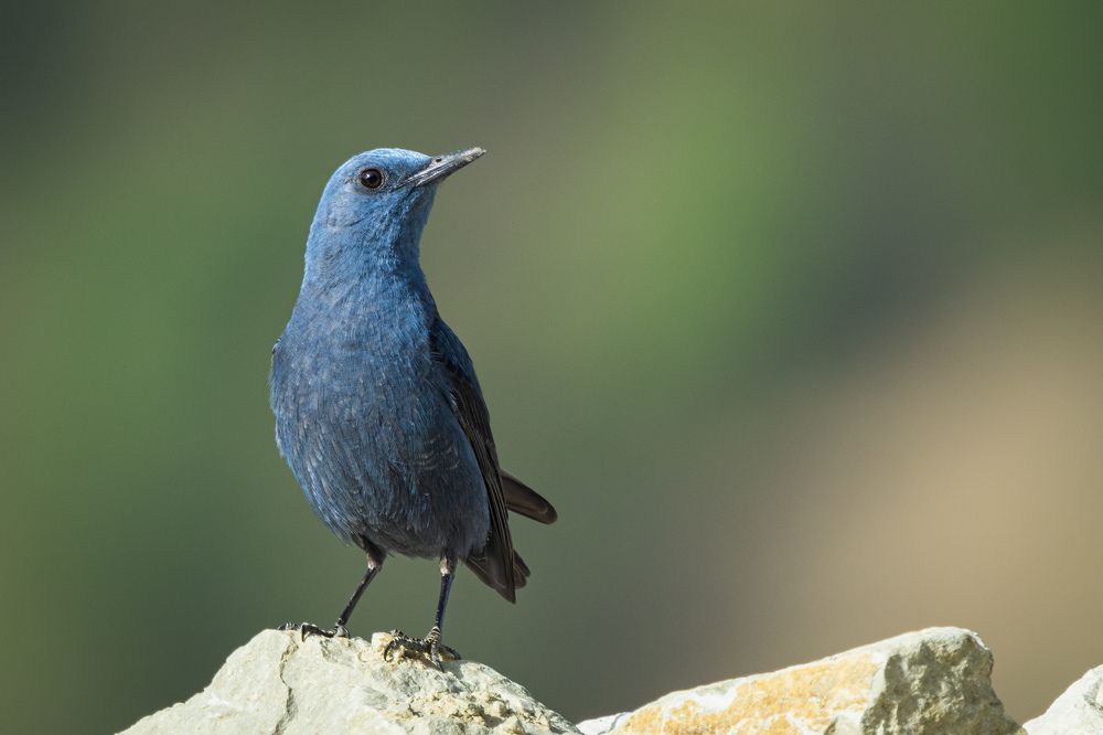 Photograph by Антон Лабачоў