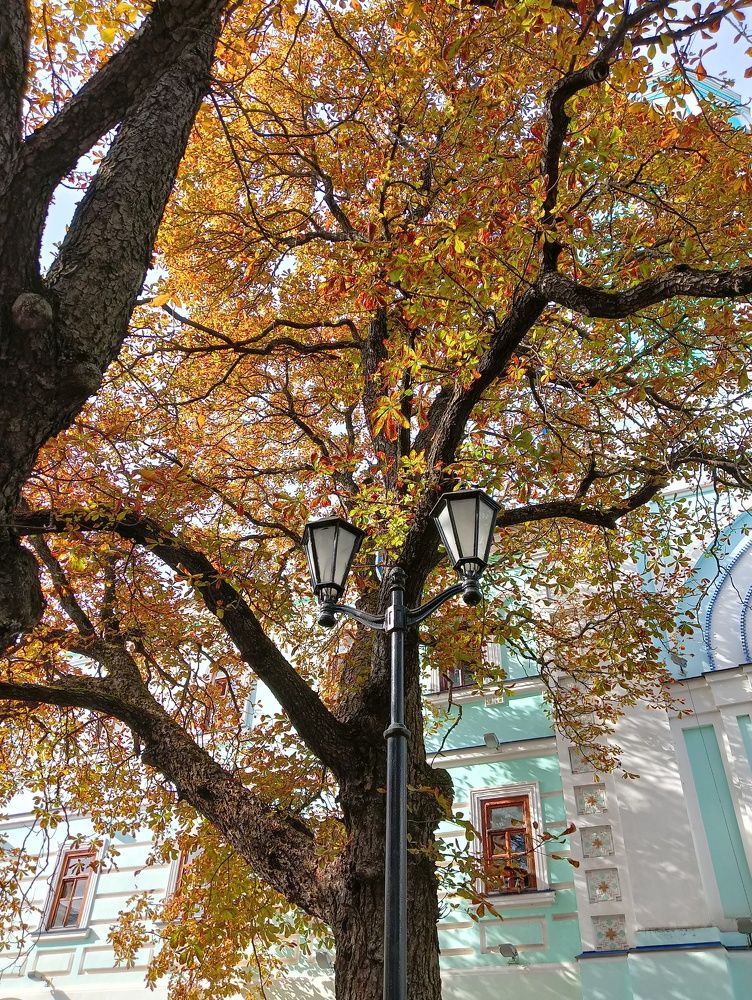 Photograph by Elena Mozhaeva