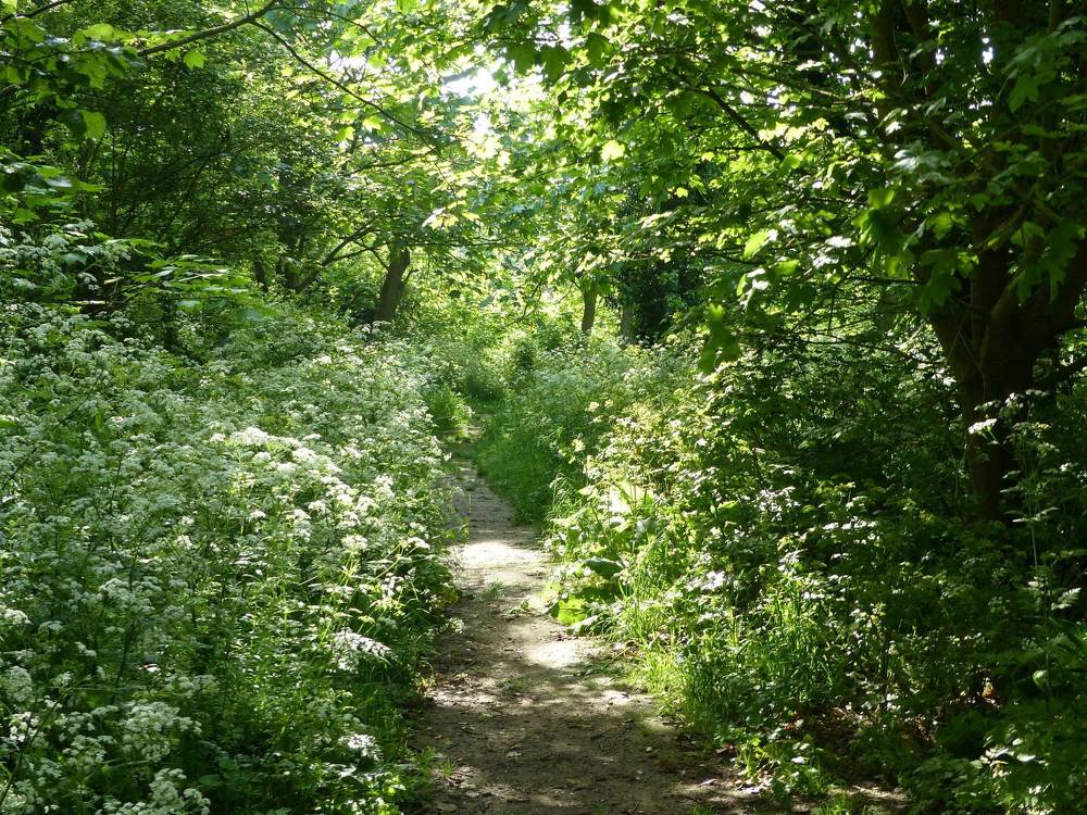 Photograph by Isabella Northrop