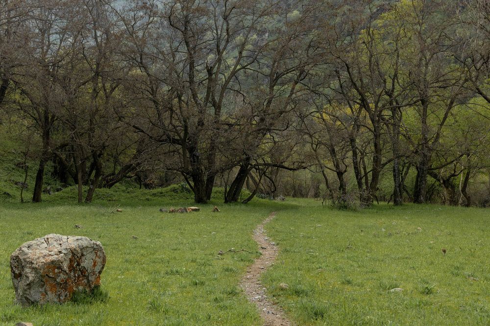 Фотография автора Van Gross