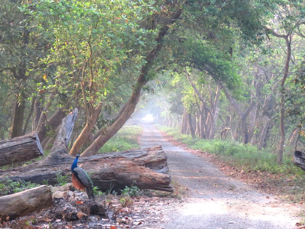 Nice arch in early sunlight hours