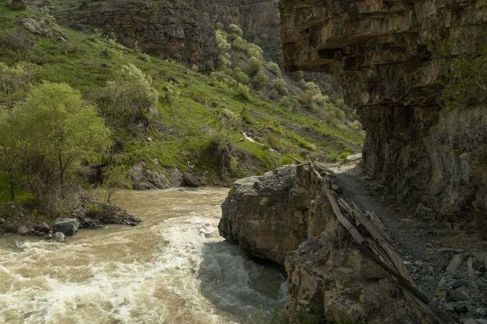 Фотография автора Van Gross