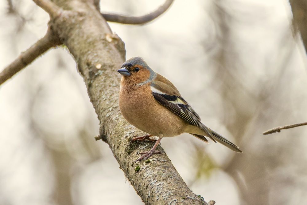 Photograph by Alexey Shevchenko