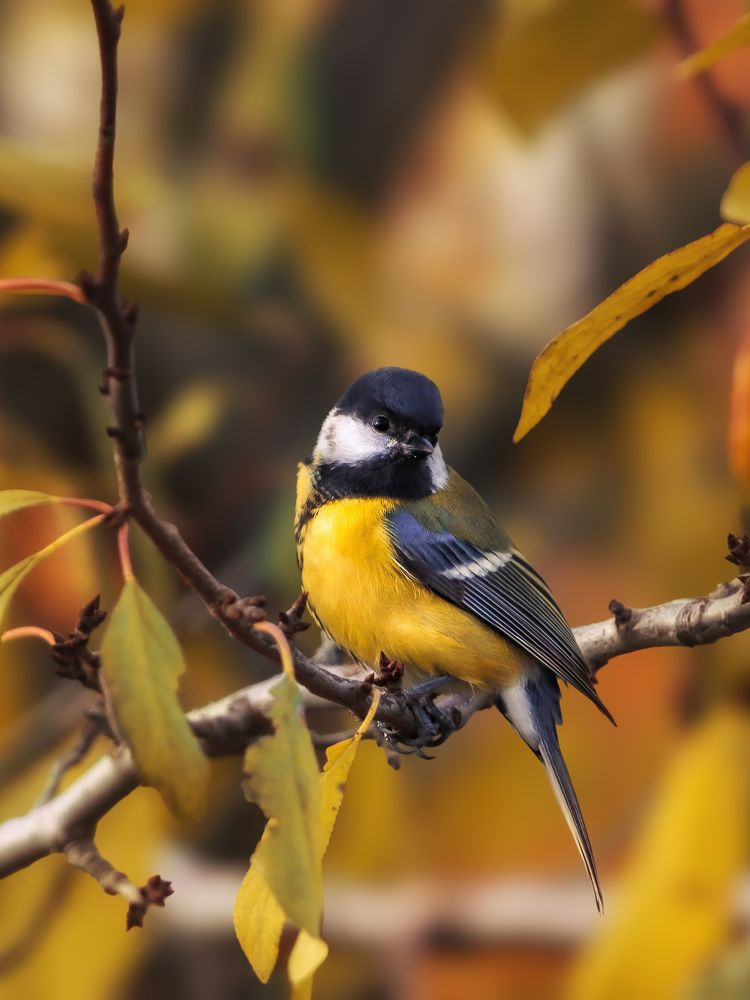 Photograph by Yuliya Karpova