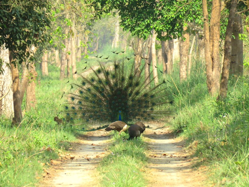 Photograph by ACHIEVEMENT LOVER