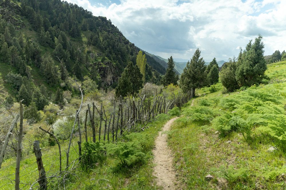 Фотография автора Van Gross