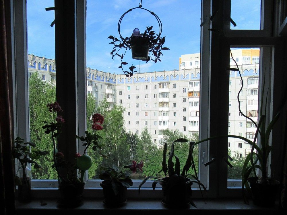 Photograph by Ольга Березовская