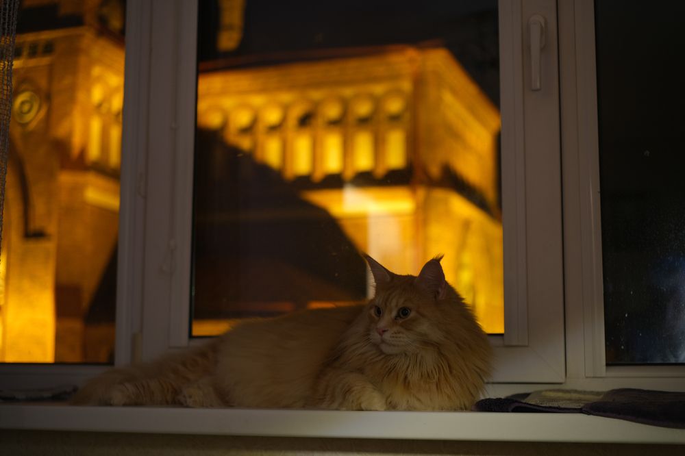 Photograph by Александр Творогов