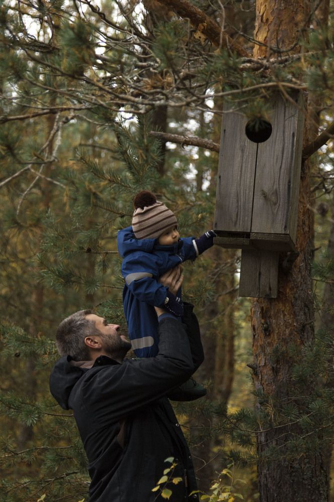 Рождественно