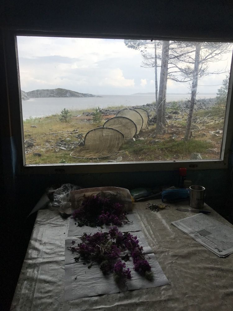 Фотография автора Gulnara