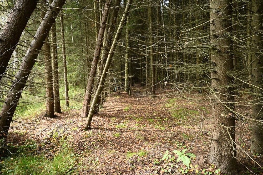 Photograph by Ксения