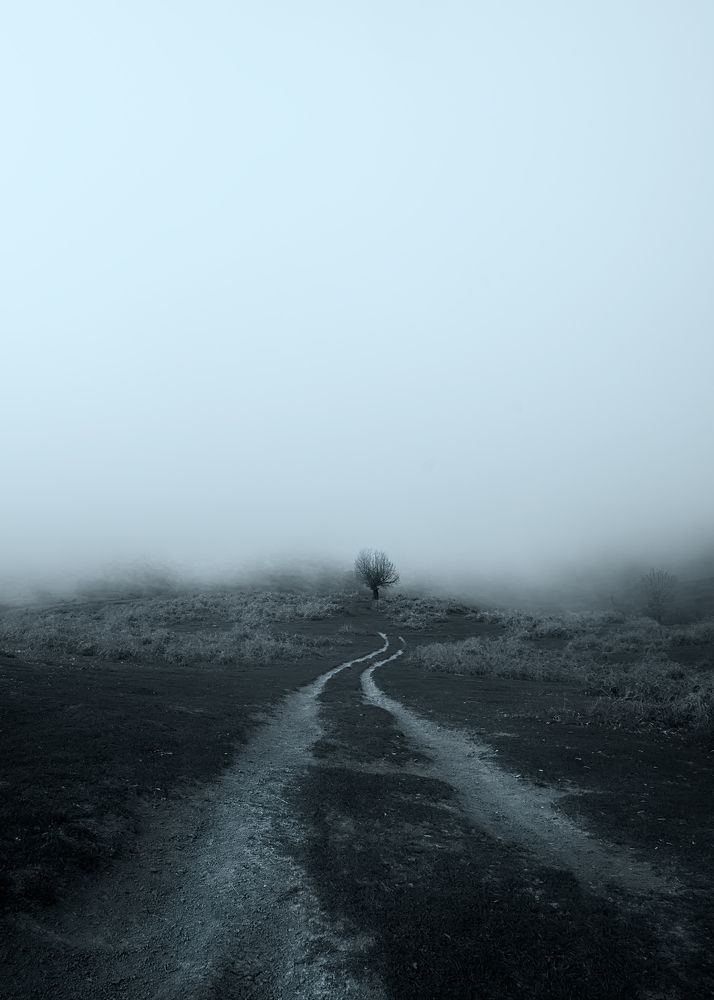 Photograph by Riahi Hosein