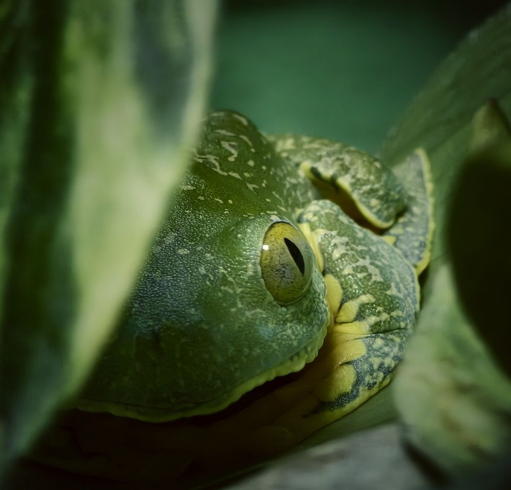 Photograph by Михаил Саидов