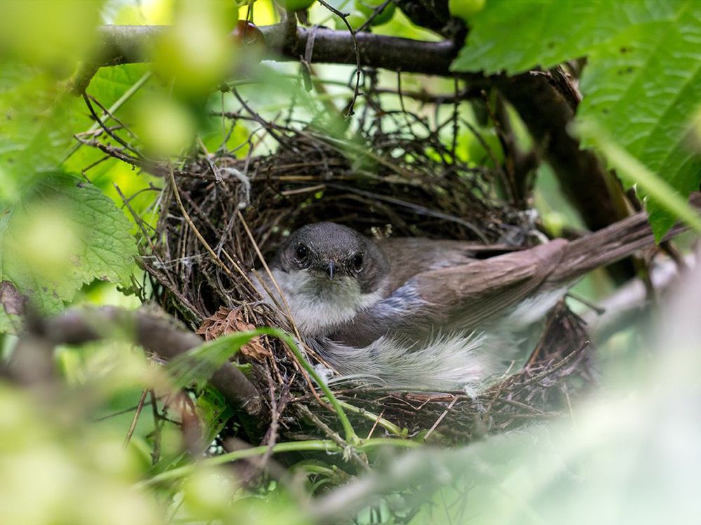 Фотография автора Борис Журавлёв