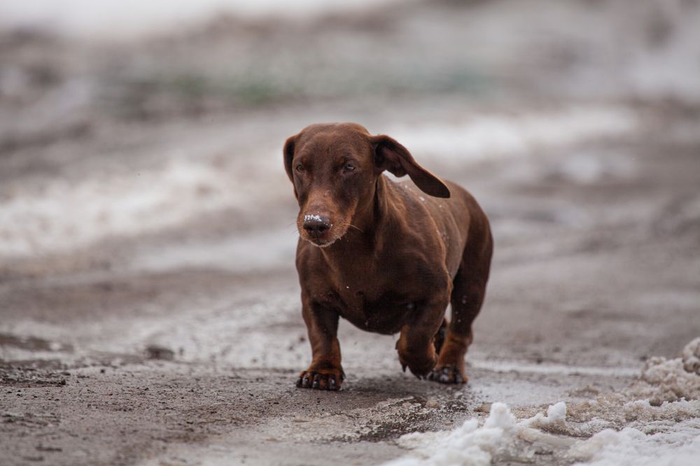 Photograph by Владимир Баженов