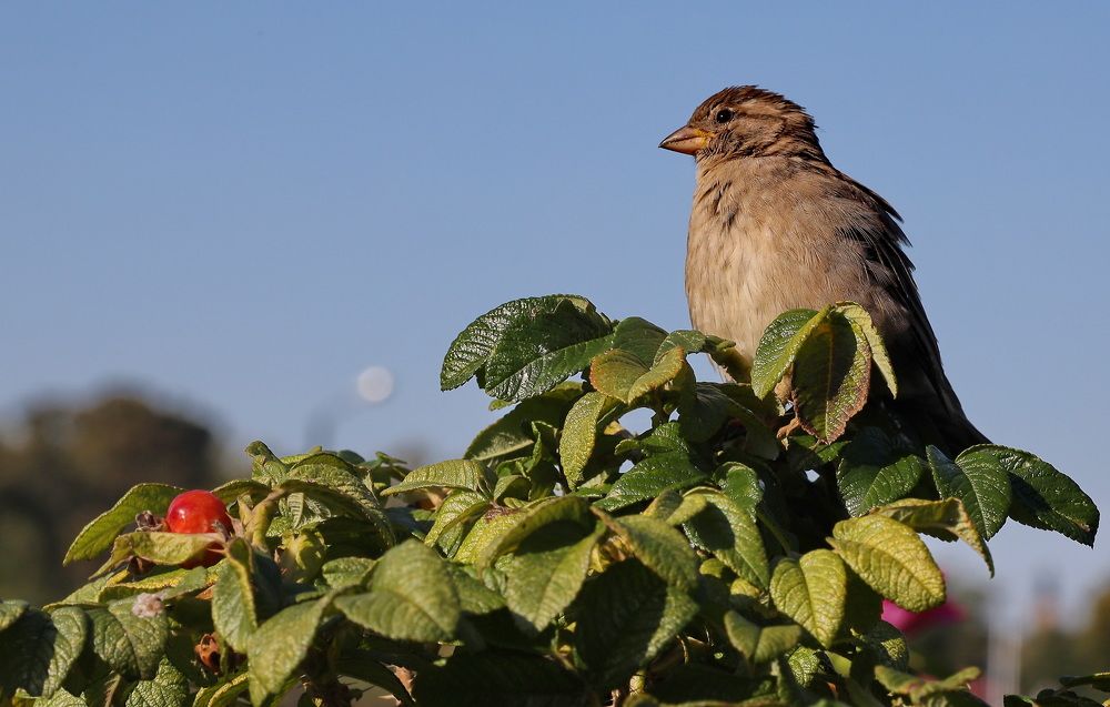 Photograph by Валерий Павлович