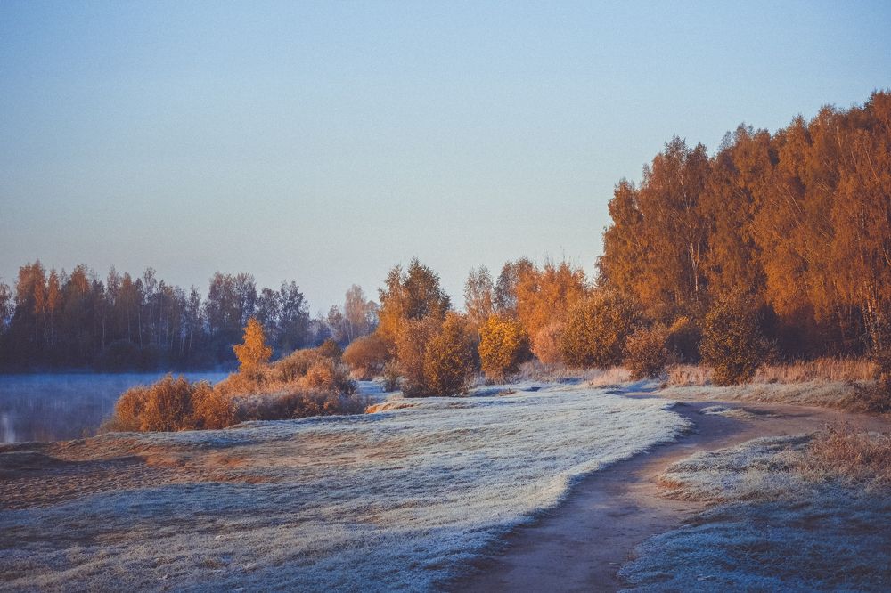 Photograph by Маруся Арбуа