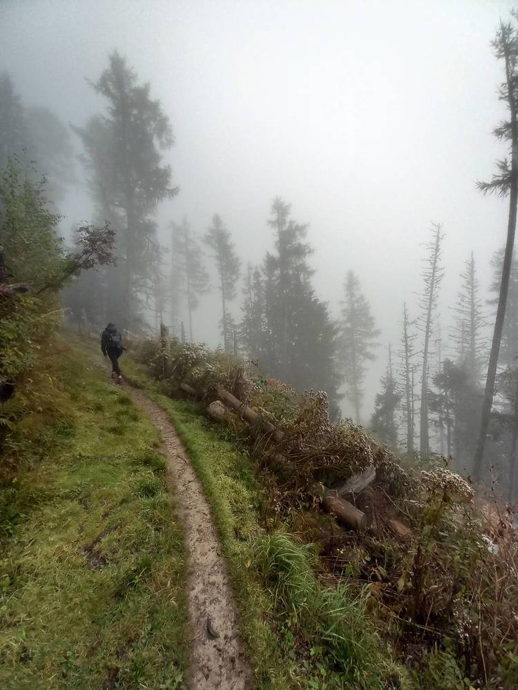 Фотография автора Елена Чернова