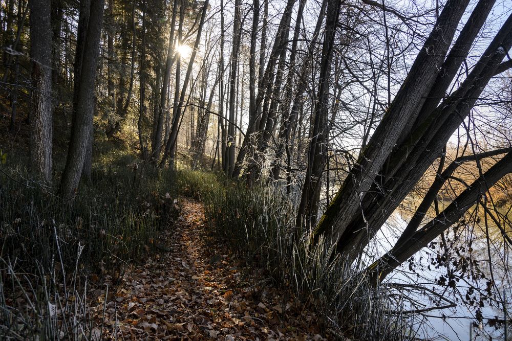 По тропе навстречу солнцу