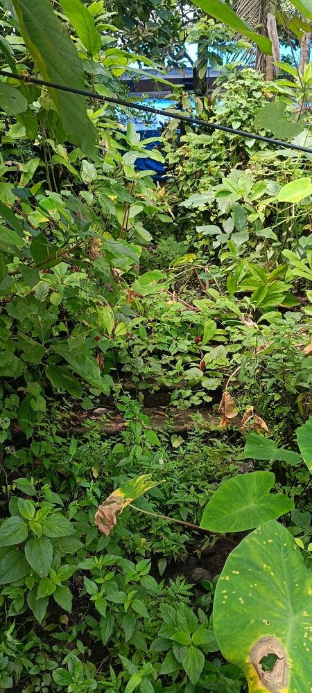 Фотография автора Ranjit pawar