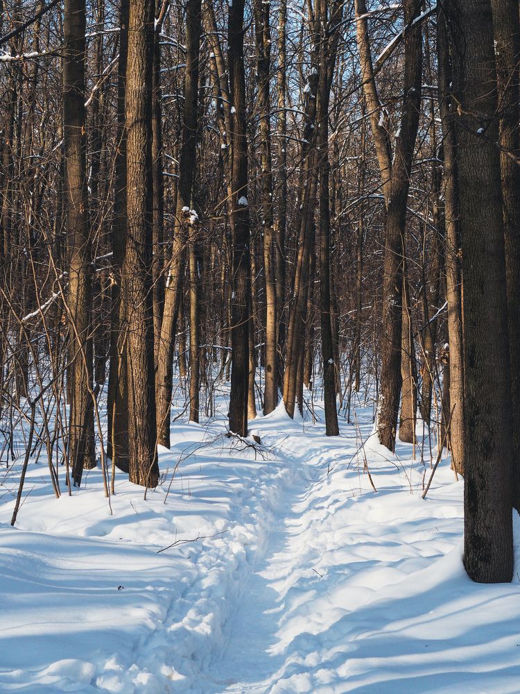 Photograph by Олег