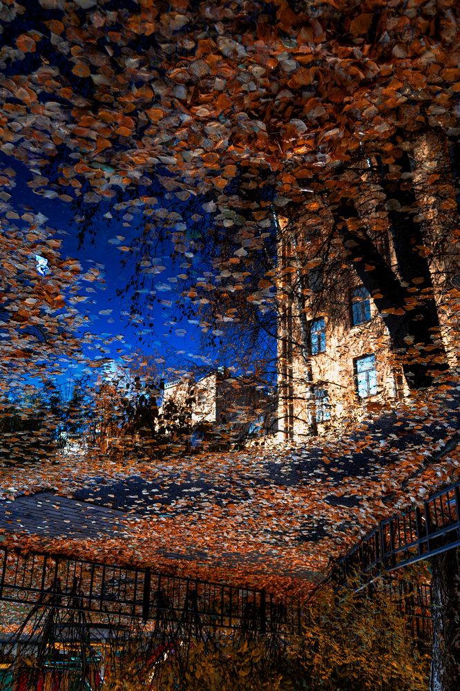 Photograph by Дайана