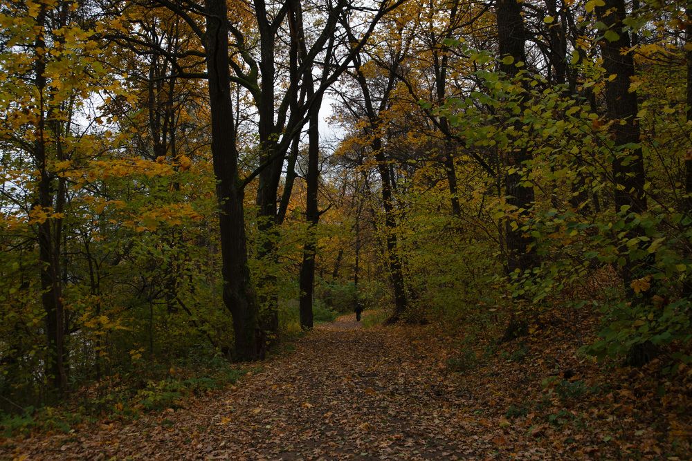 Photograph by Светлана Зайкова