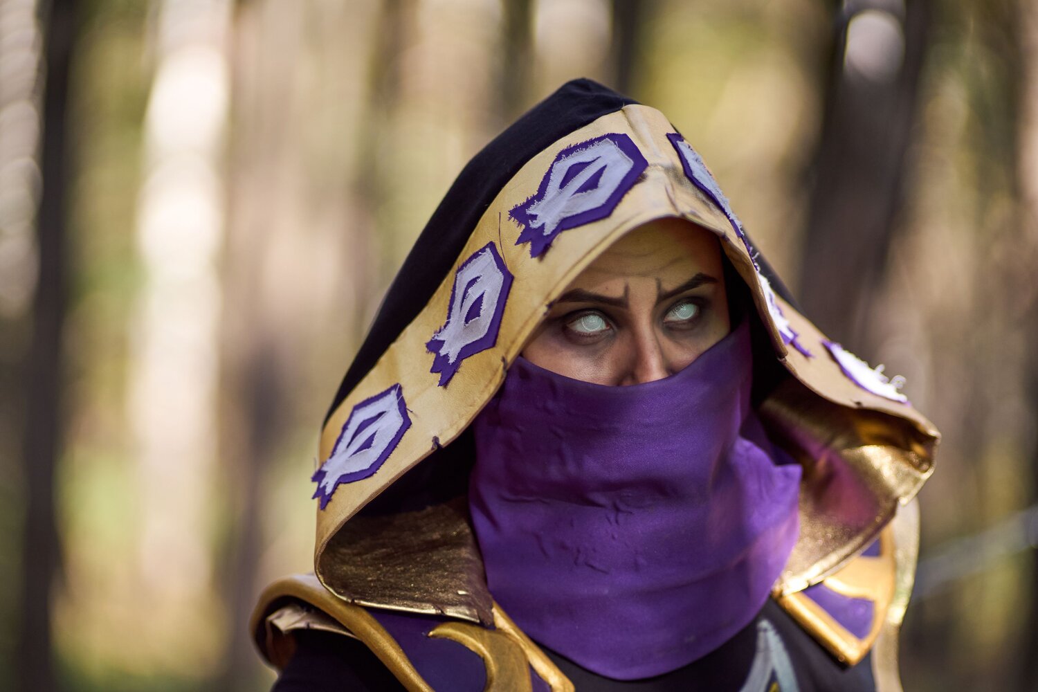 Photo #11240482