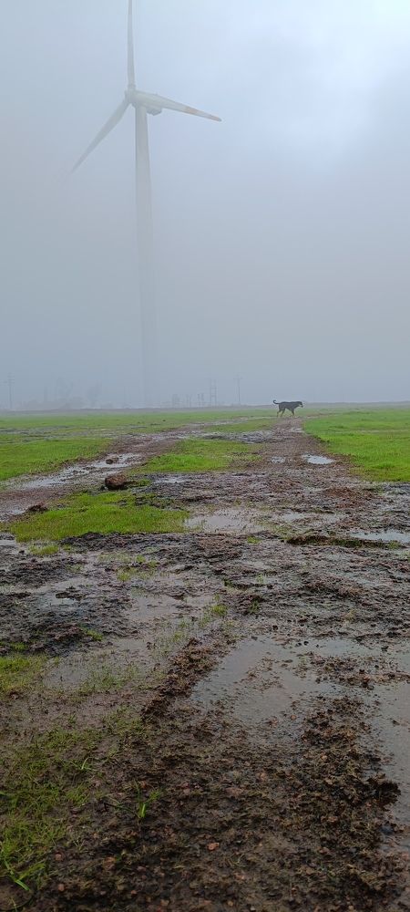 Фотография автора Ranjit pawar