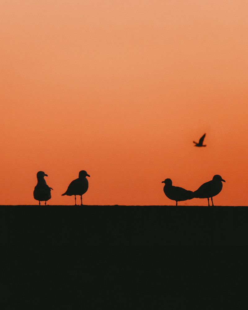 Photograph by Маруся Арбуа