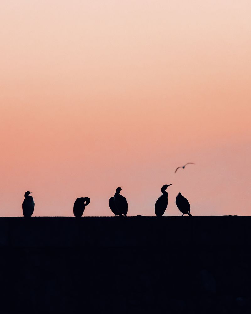 Photograph by Маруся Арбуа