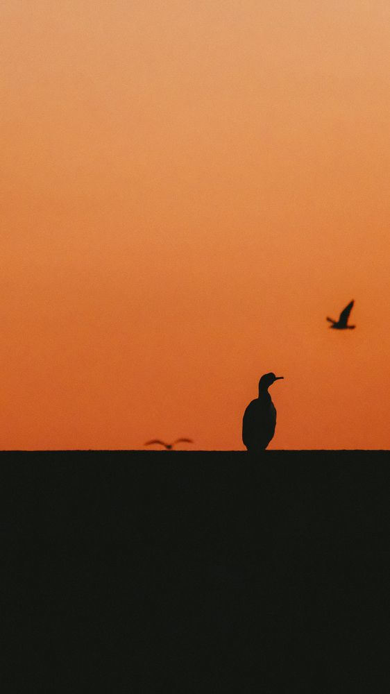 Photograph by Маруся Арбуа