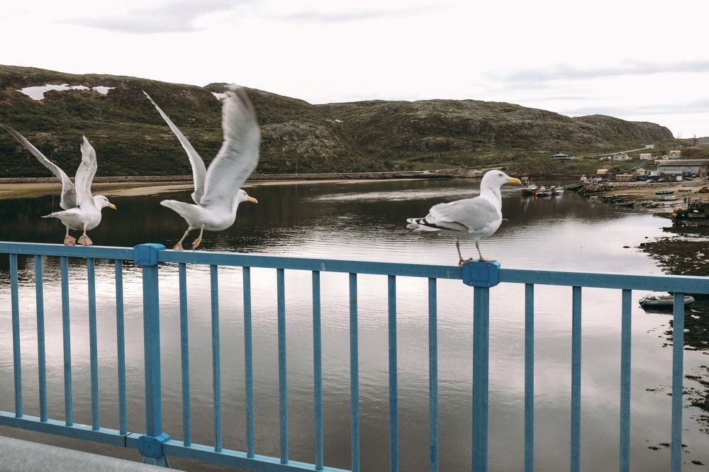 Photograph by Катя Филиппова