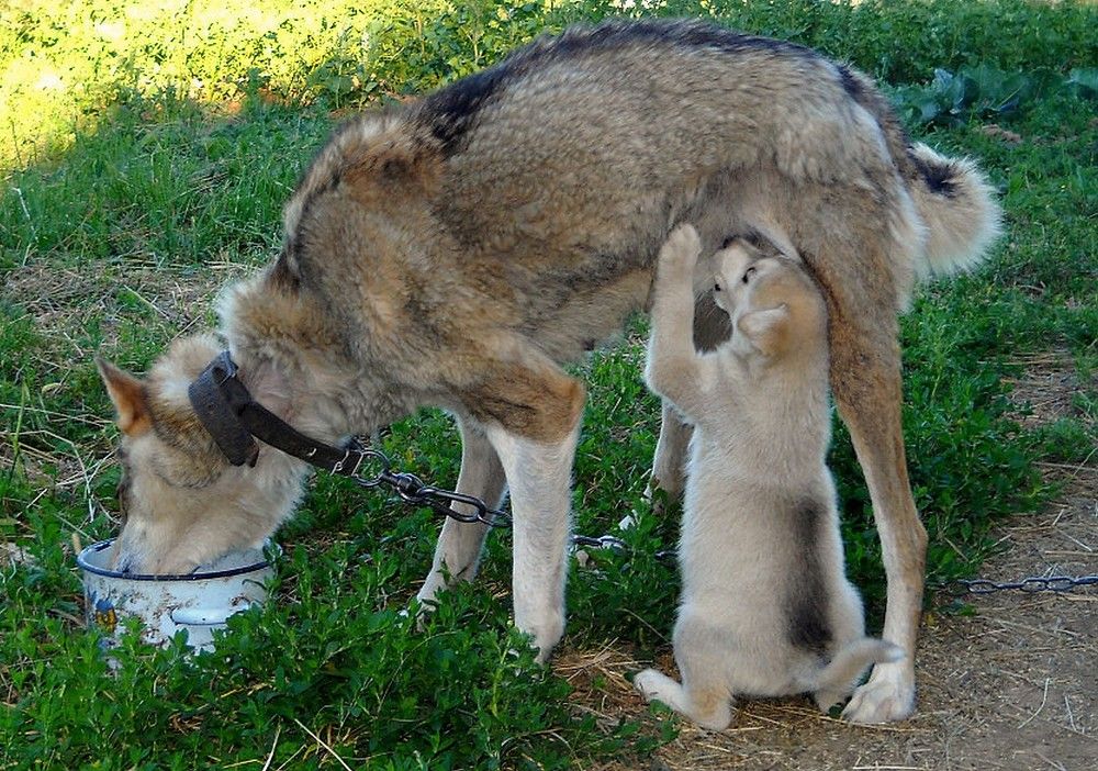 Photograph by Виктор Решетников