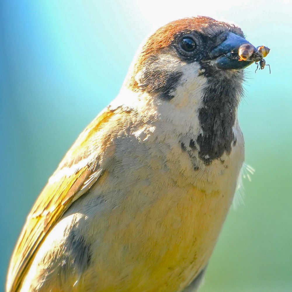 Photograph by Михаил Трусов