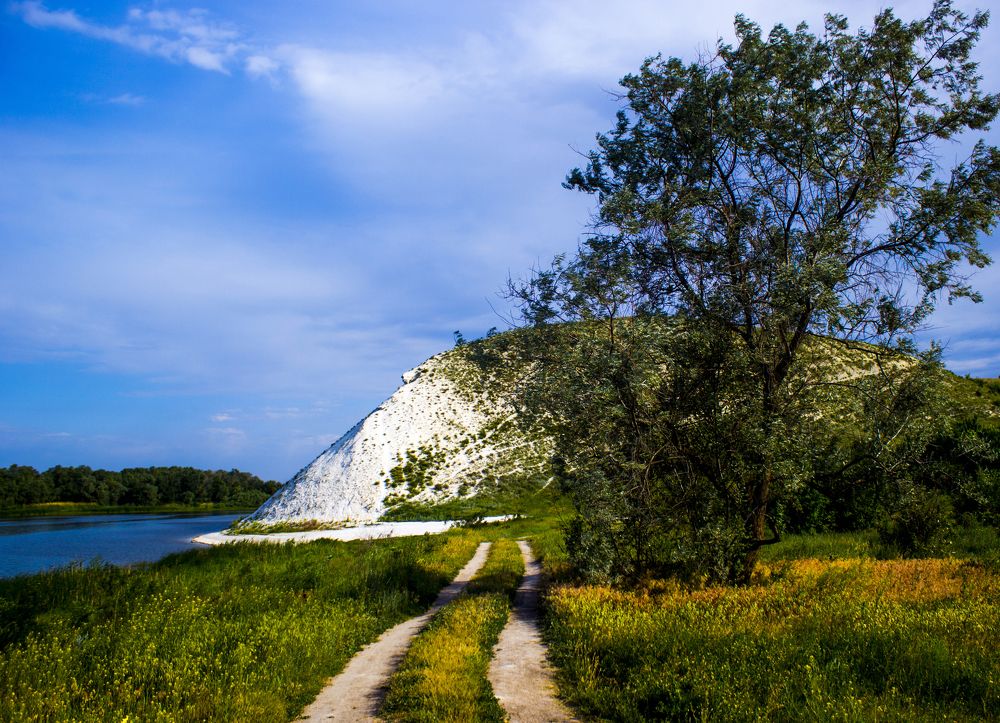 Photograph by Галчонок Ахмерова