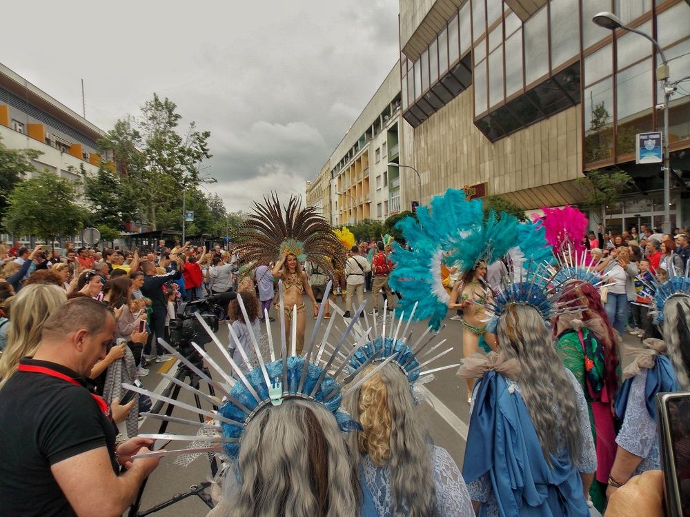 Photograph by Dragoslav Macanović